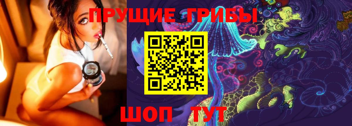 Елабуга  Псилоцибиновые грибы мицелий  Вход с VPN 